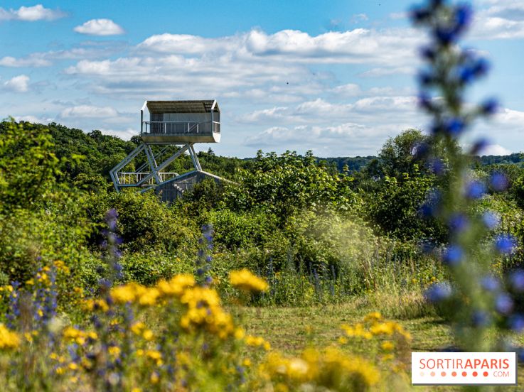 Le Parc du peuple de l'herbe dans les Yvelines - Étang de Galiotte - Carrières-sous-Poissy -  A7C7472