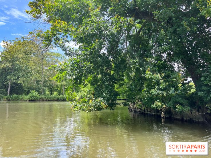 Domaine de Chamarande - nos photos - image00001