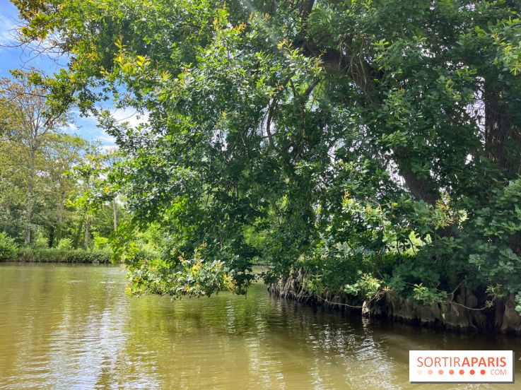 Domaine de Chamarande - nos photos - image00007