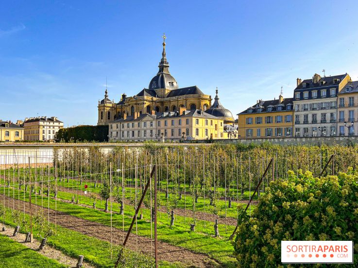 Les Saveurs du Potager du Roi à Versailles : marché de fruits & légumes, expositions et animations - image00055