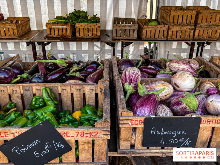Les Saveurs du Potager du Roi à Versailles : marché de fruits & légumes, expositions et animations