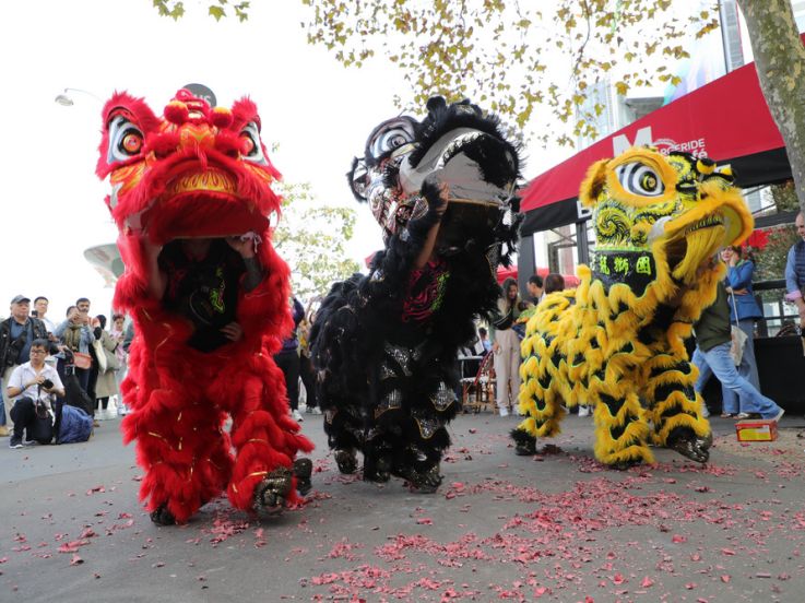 Campagne #33634 - B82I9862