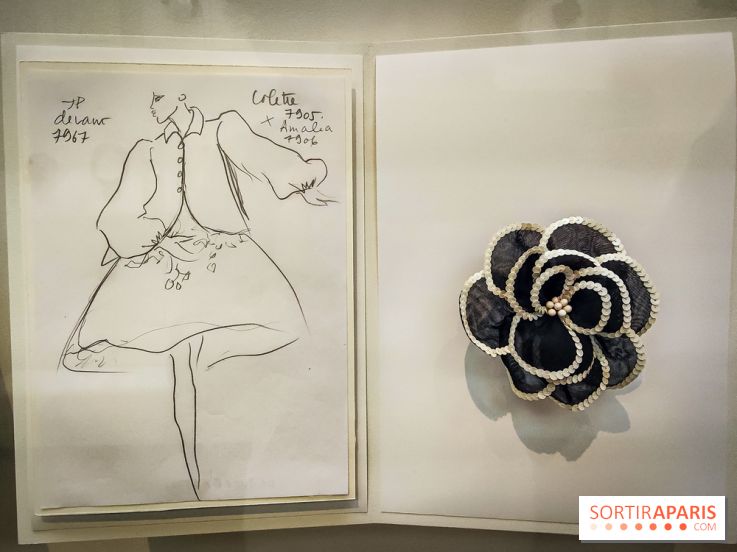 Les fleurs d'Yves Saint Laurent : l'exposition se dévoile en images au musée YSL