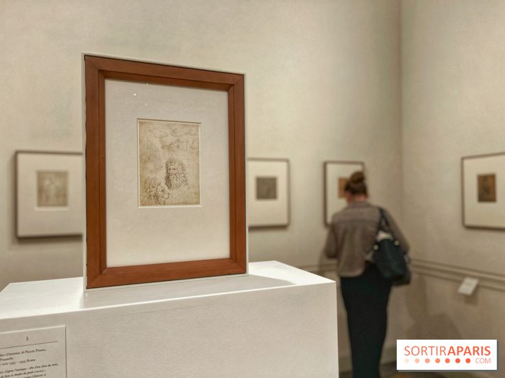 Naissance et Renaissance du dessin italien - IMG 4952