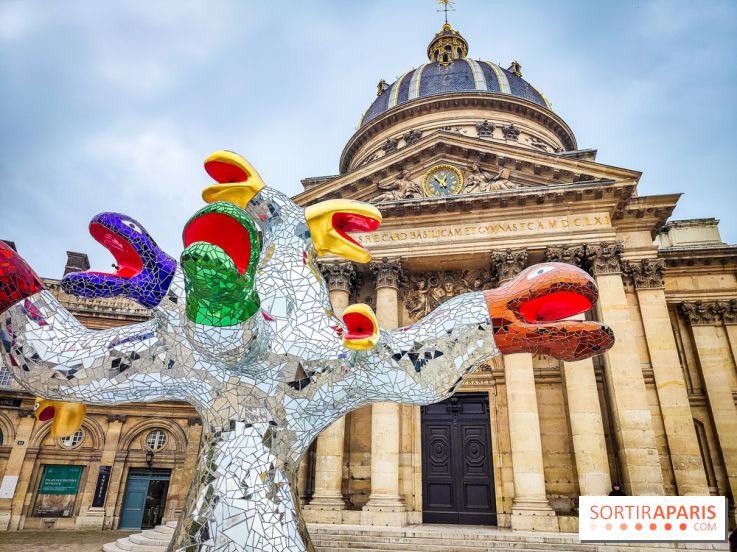 niki de saint phalle france