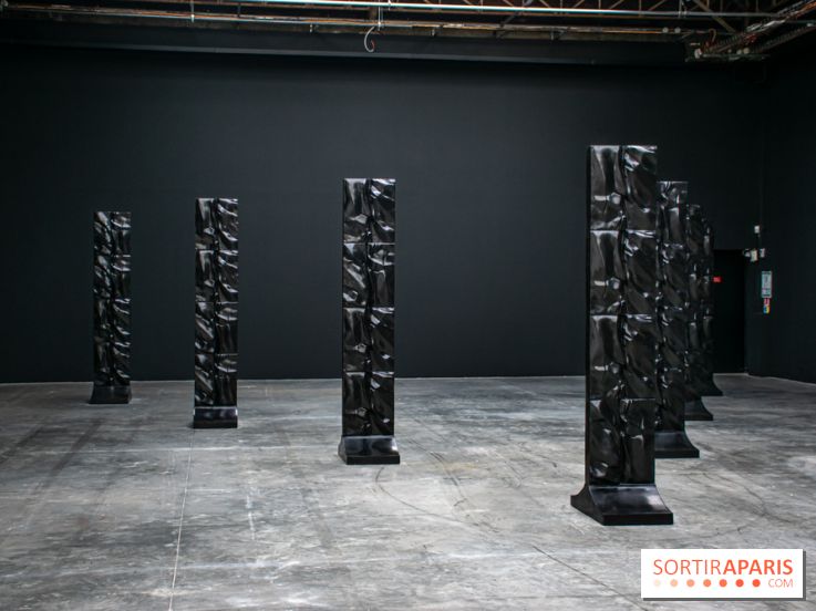 Exposition Barbara Chase-Riboud au Palais de Tokyo - :