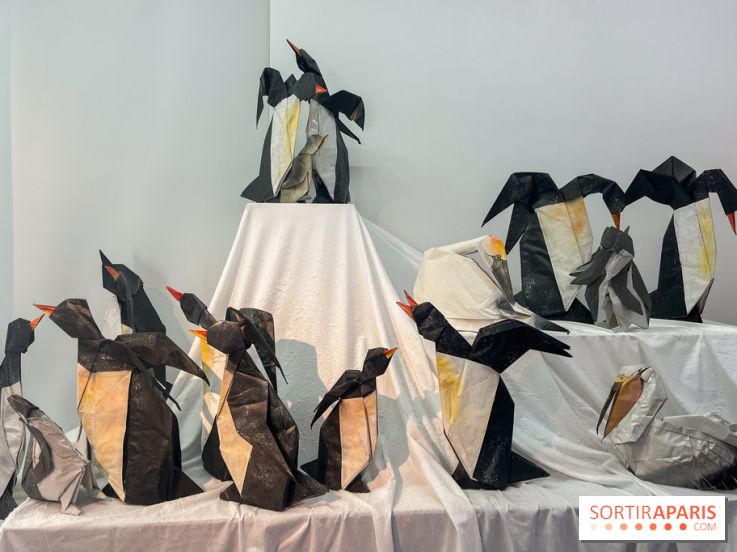 La faune en plis - nos photos - image00018