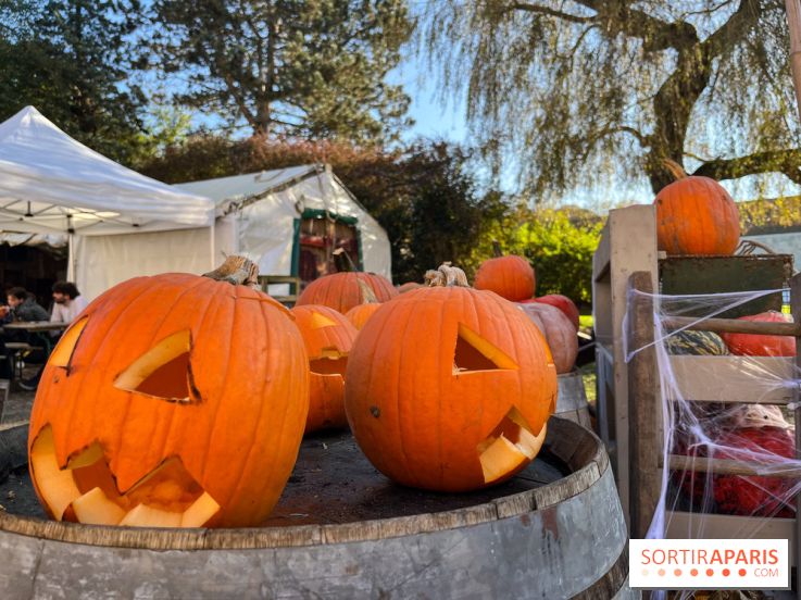 La Fête de la Citrouille - nos photos