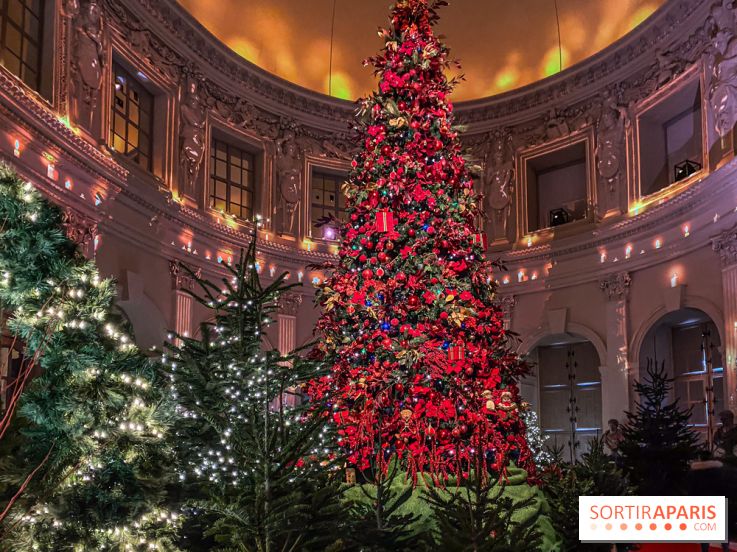 Noël 2024 au Château de Vaux-le-Vicomte : une expérience magique avec une patinoire