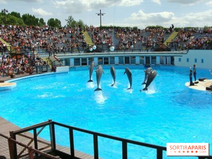 Parc Asterix
Dauphins