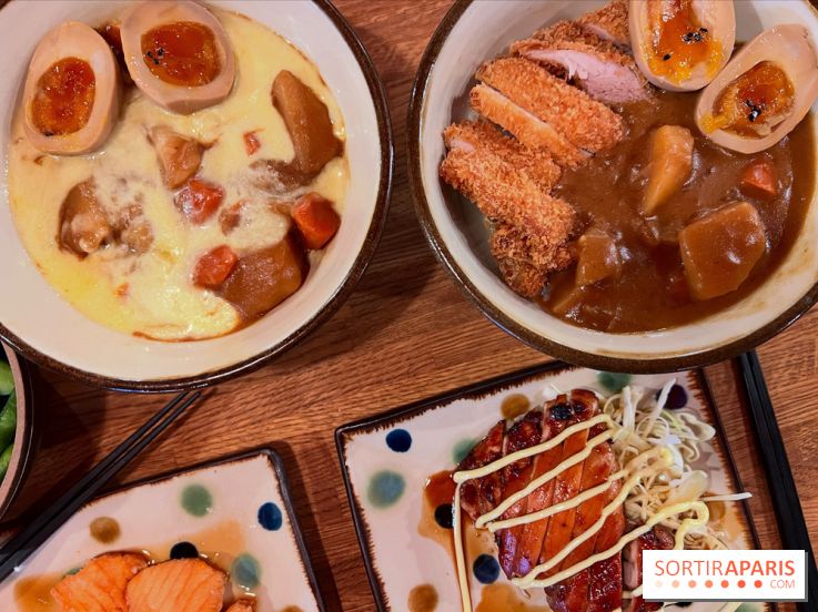 Jinchan Yokocho - Curry japonais