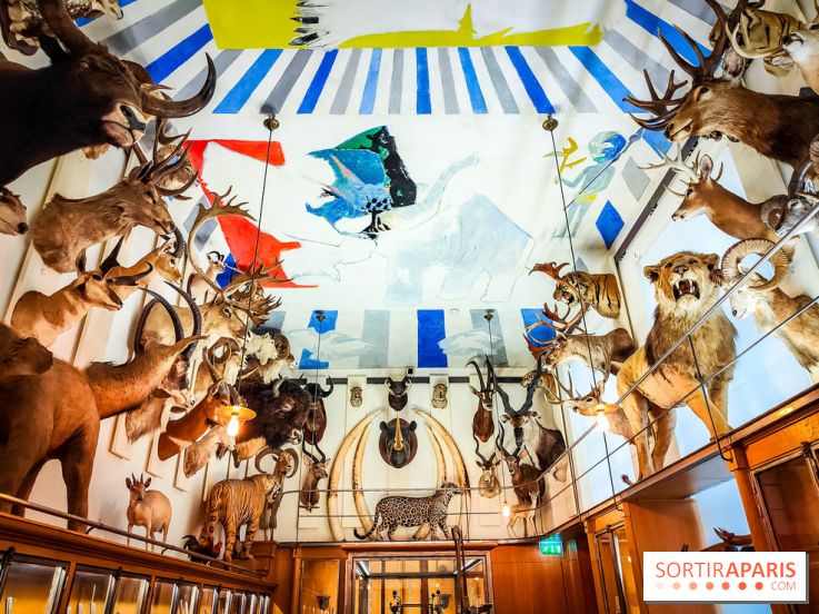 Musée de la chasse et de la nature - collections permanentes et visuels