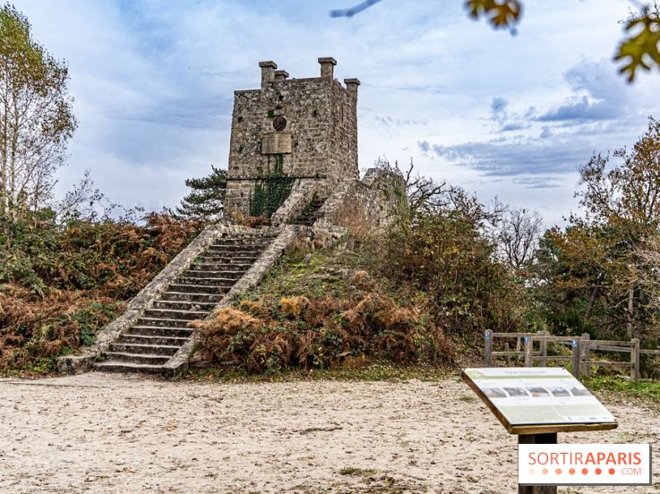 Randonnée à Fontainebleau : le sentier sur les pas de Denecourt jusqu’à la Tour Denecourt -  A7C7603