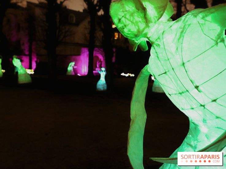 Exposition Silva Lumina au Centre Culturel Irlandais  - Silva Lumina 12 fotor 2025020692052