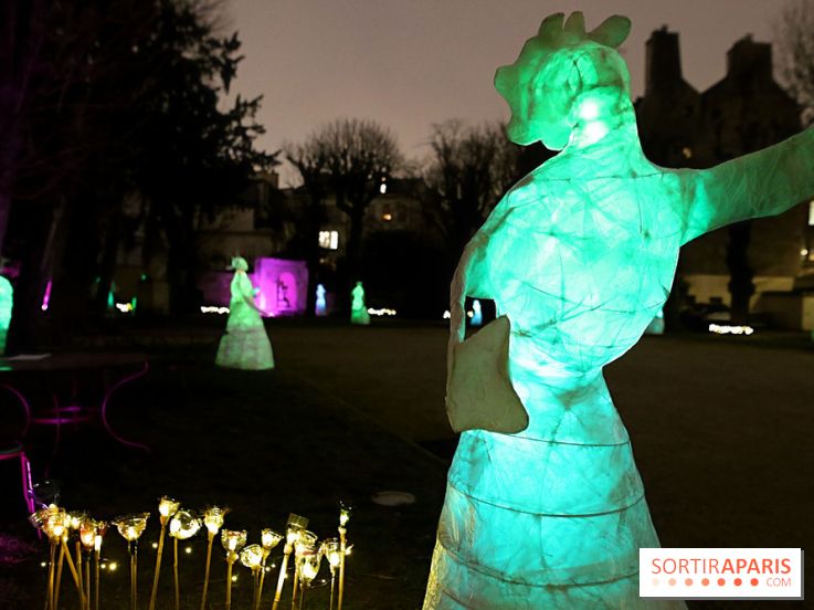 Exposition Silva Lumina au Centre Culturel Irlandais  - Silva Lumina 14