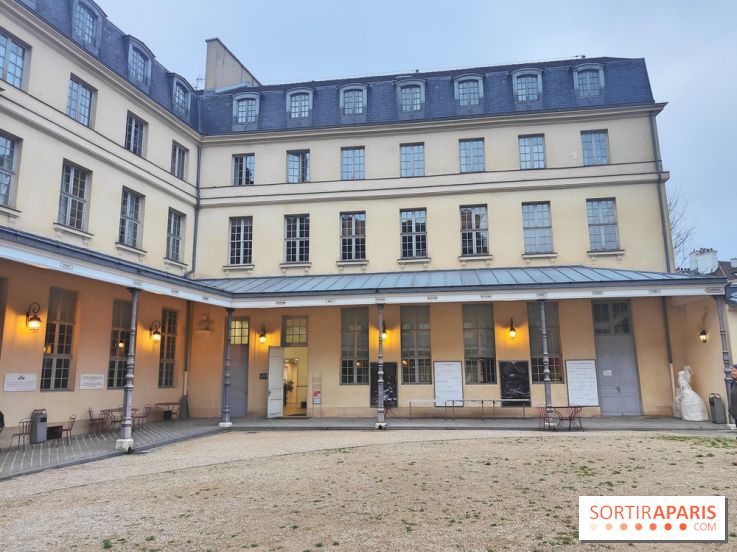 Centre Culturel Irlandais et sa bibliothèque  - cour