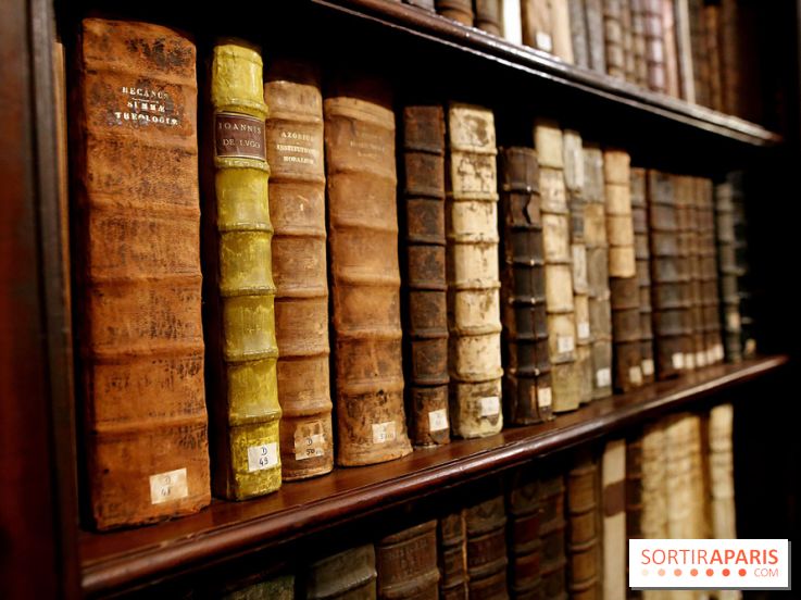 Centre Culturel Irlandais et sa bibliothèque