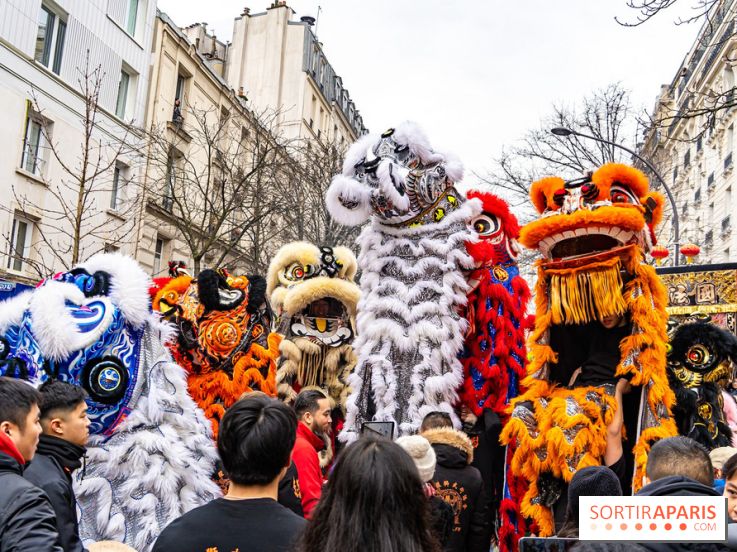 Défilé du Nouvel an Lunaire - Chinois 2025 Paris 13e - les photos -  A7C1606