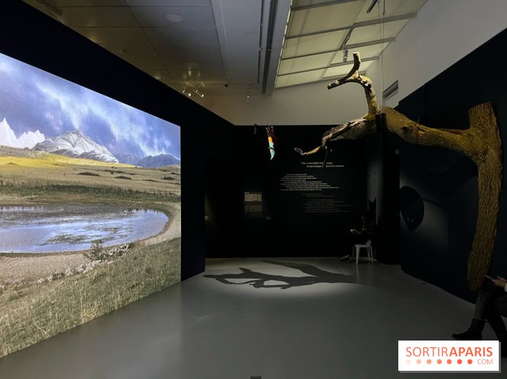 Paysages mouvants - IMG 8730