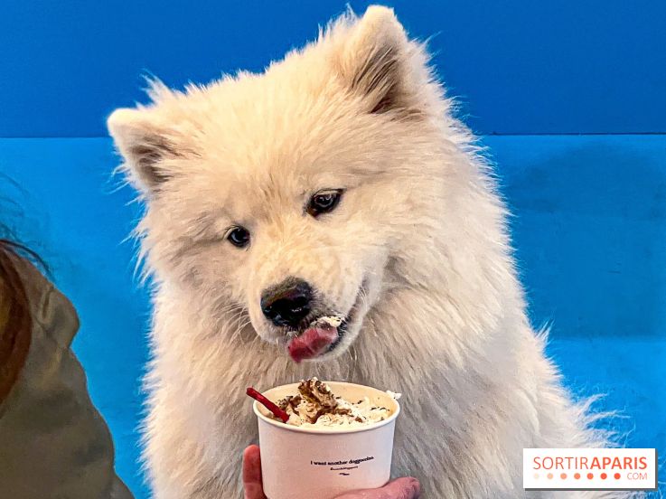 Je T'aime Comme Un Chien : food, mode, déco ... une expo qui a du chien au Bon Marché Rive Gauche