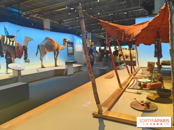 Déserts : l'exposition scientifique se dévoile au Muséum d'Histoire naturelle de Paris