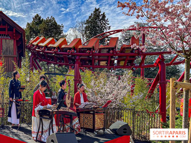 Le Défi du Dragon : la nouvelle attraction à sensations fortes du Jardin d'Acclimatation - image00090