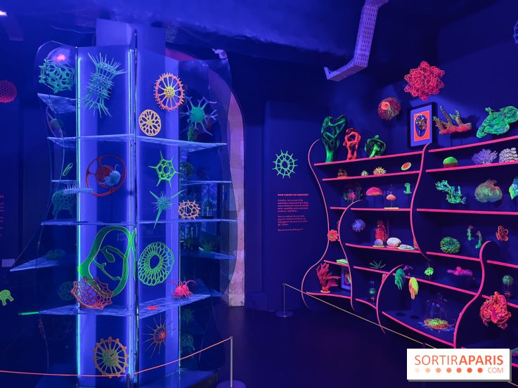 Digital Abysses au musée en Herbe - nos photos - 5E840A8C 6B0E 4F9C A75C 355062E1DA7E