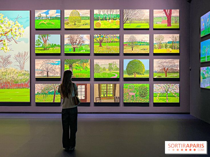 David Hockney : la plus grande exposition retrospective de l'artiste à la Fondation Louis Vuitton - IMG 8663 jpg