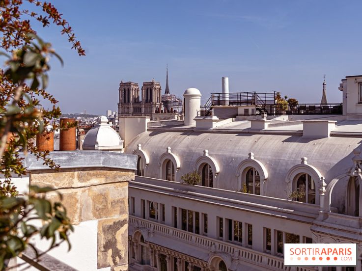 Rooftop de Dame des Arts, la terrasse panoramique sur les toits de Paris - photos  - A7C06287