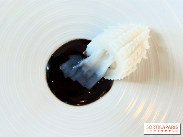 Le Pergolèse - Encornet, encre de seiche