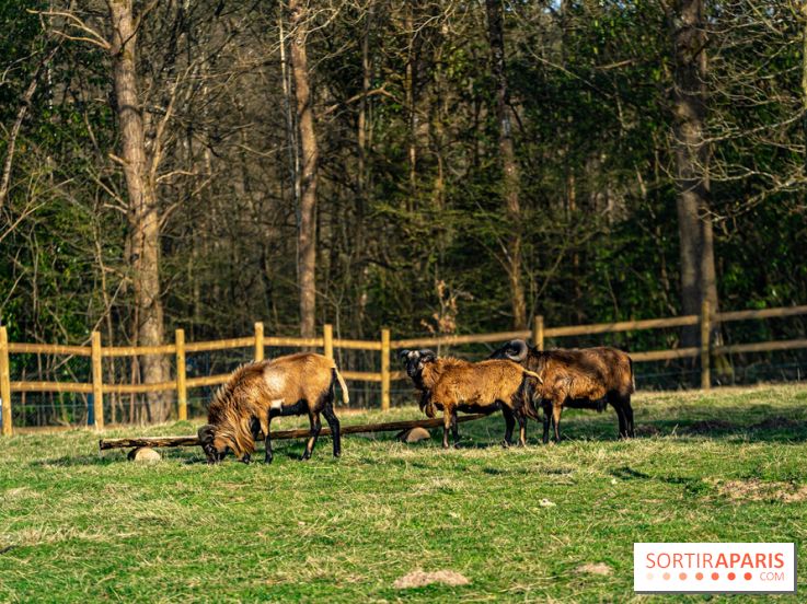 La Ferme de l’Abbaye des Vaux de Cernay : l'hôtel de charme en pleine nature dans les Yvelines - photos