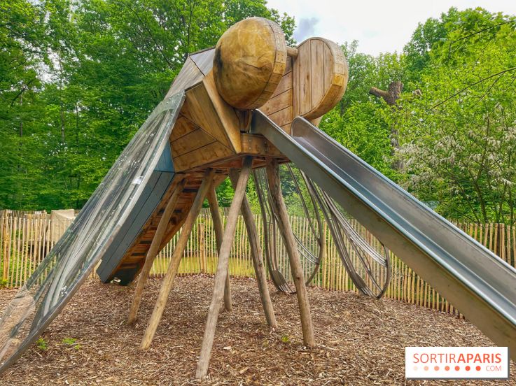 Mission Forêt