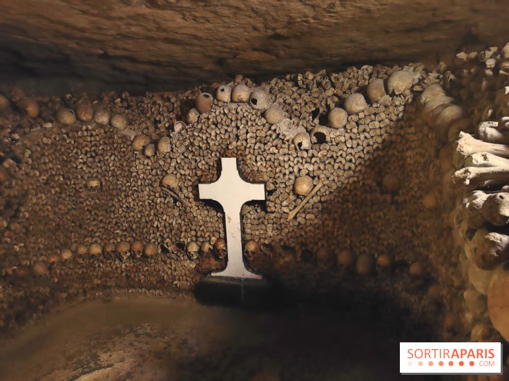 Les Catacombes de Paris - visuels  - fotor 1749245985138