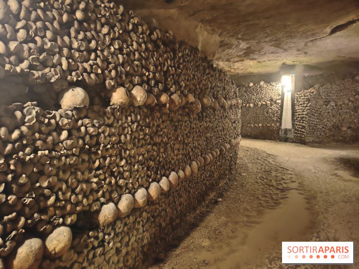Les Catacombes de Paris - visuels