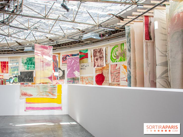 Exposition Disco de Vivan Sutter au Palais de Tokyo - DSC 3065