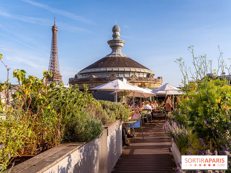Han Rooftop, le rooftop du Musée Guimet en mode Coréenne
