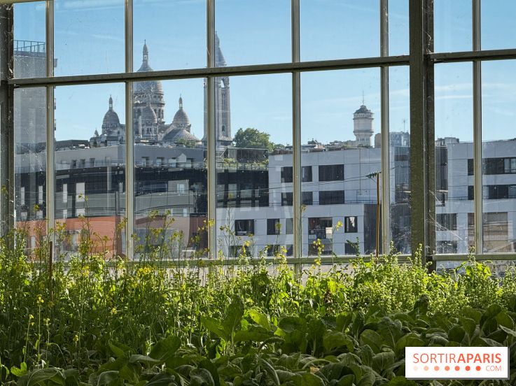 Rooftop Plantation Paris