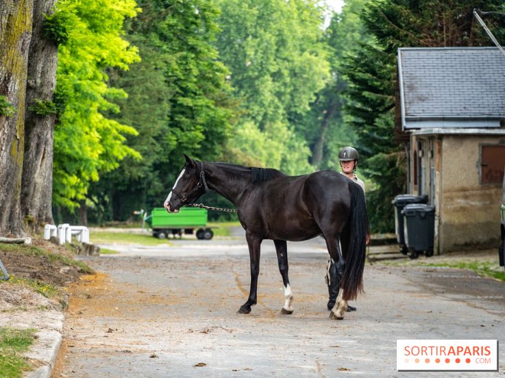Visite guidée de l'École Mlitaire d'Équitation - A7C02319