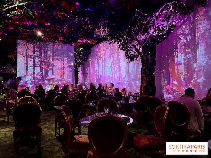 Wonderwoods