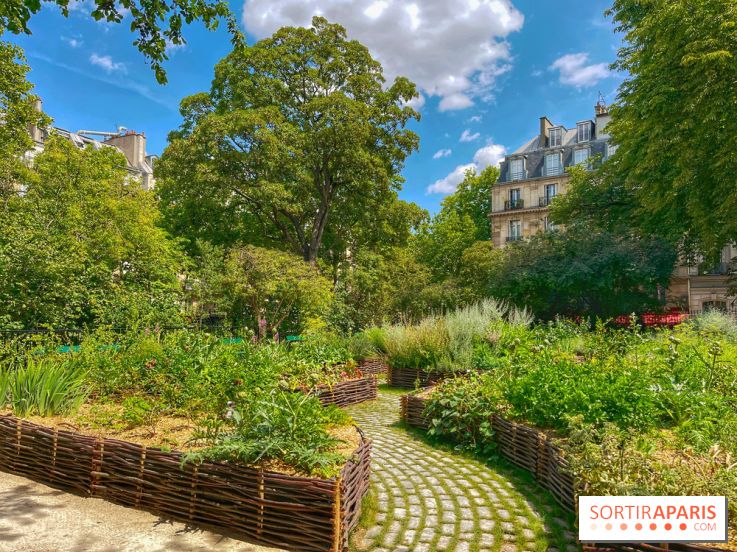Jardin Médiéval du Musée de Cluny - IMG 3877
