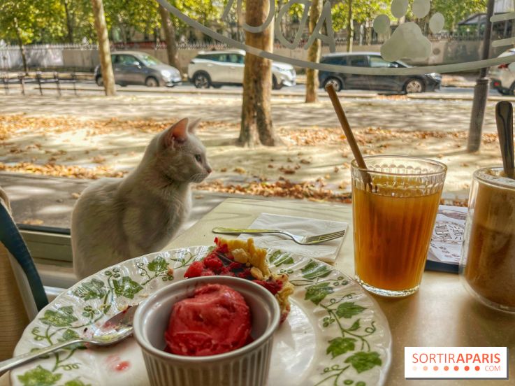 Chat-Rivari Café