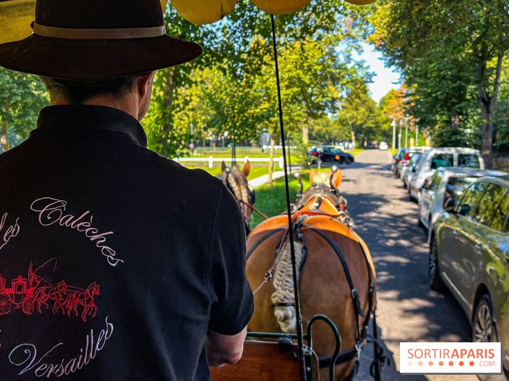 Tous en piste ! à Maisons-Laffitte (78): poneys, calèche et spectacles équestres gratuits au château