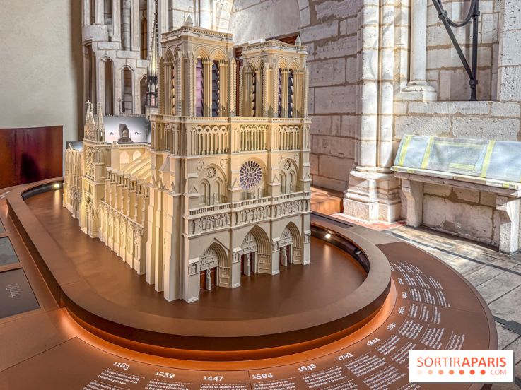 Visite des tours de Notre-Dame de Paris