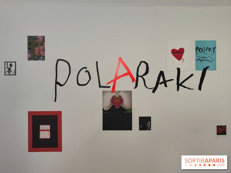 Polaraki, mille polaroids d'Araki Nobuyoshi : l'exposition du musée Guimet se dévoile