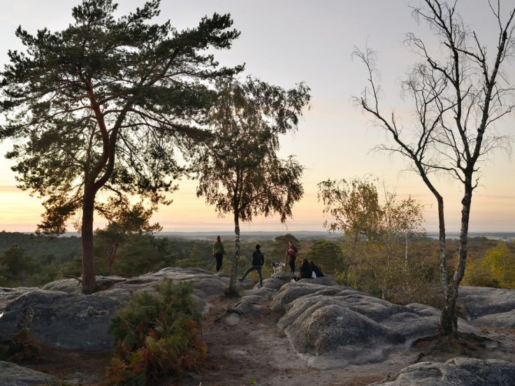 Activités sportives, visites culturelles et aventures partagées : des vacances pleines de souvenirs au Pays de Fontainebleau ! 