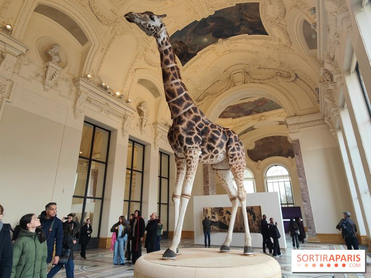Art Basel 2025 : des installations d'art contemporain originales et gratuites à voir au Petit Palais
