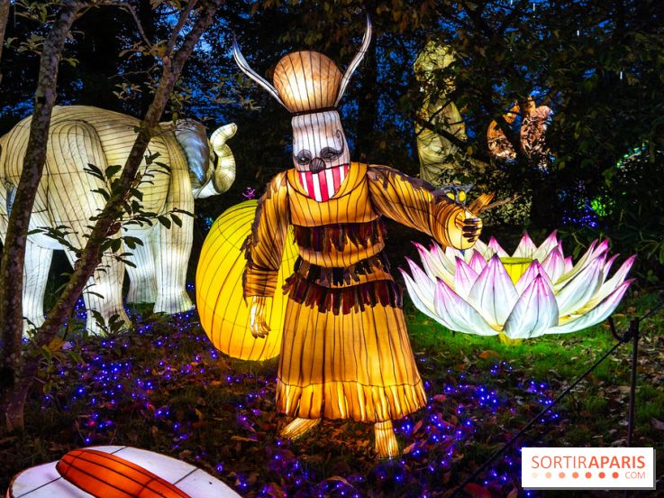 Thoiry Lumières Sauvages 2025 : le Bal des Esprits - A7C09489