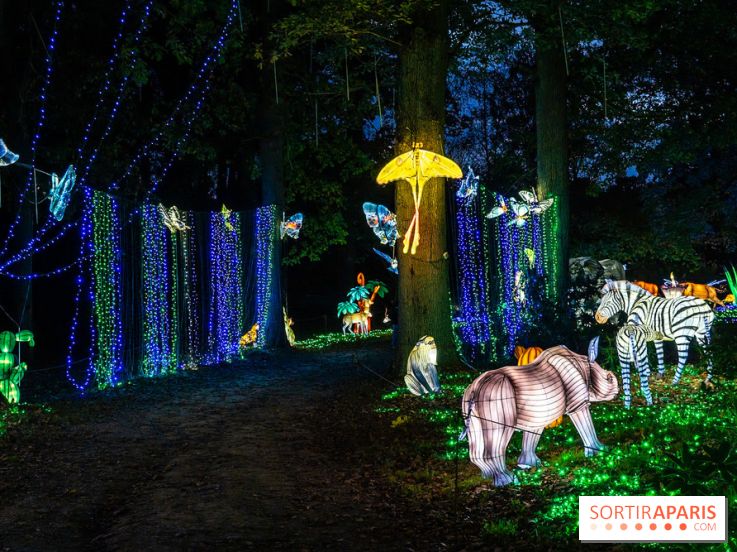 Thoiry Lumières Sauvages 2025 : le Bal des Esprits - A7C09500