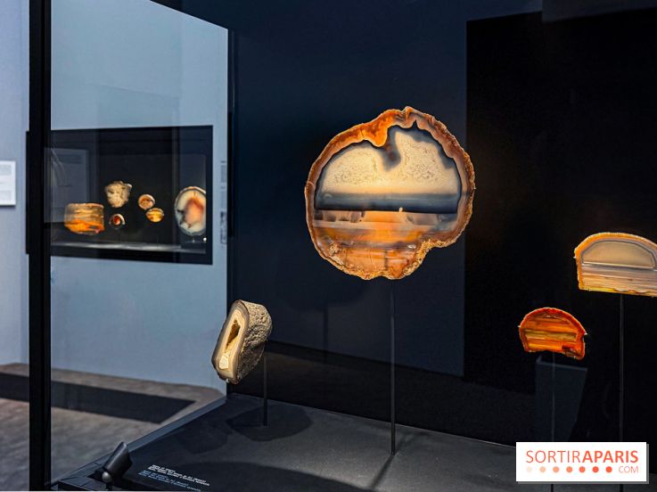 Rêveries de pierres : l'exposition rétrospective gratuite à l'Ecole des Arts Joailliers