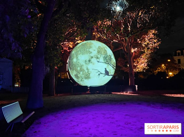 En voie d'illumination : Lumières de la nature : le festival nocturne hivernal du Jardin des Plantes